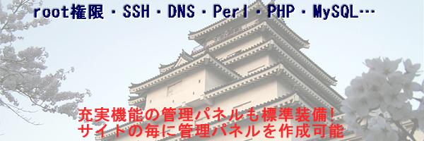 ��p�����^���T�[�o�[�v����